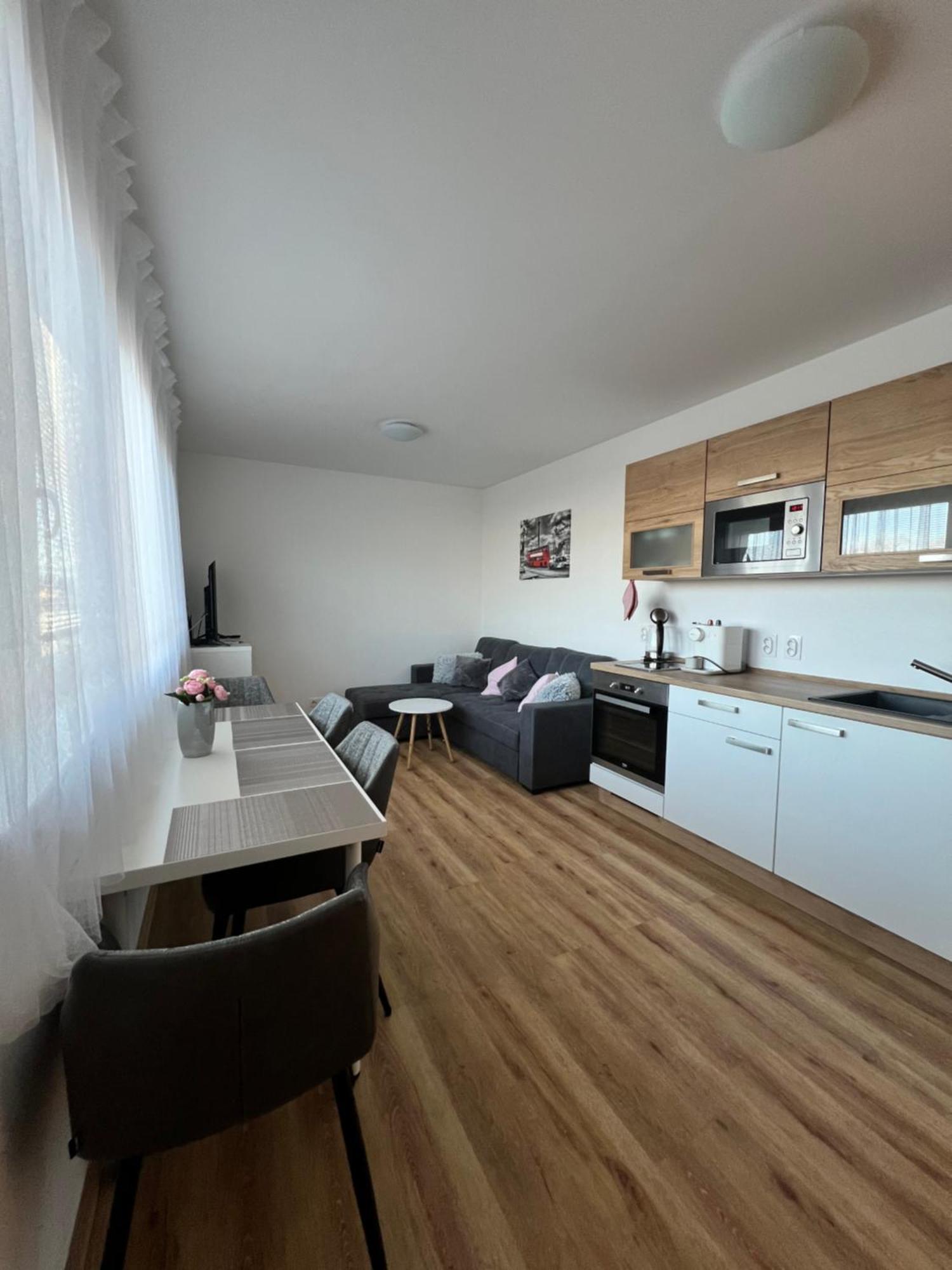 Apartman Roda2 Male Lipno Černá v Pošumaví エクステリア 写真